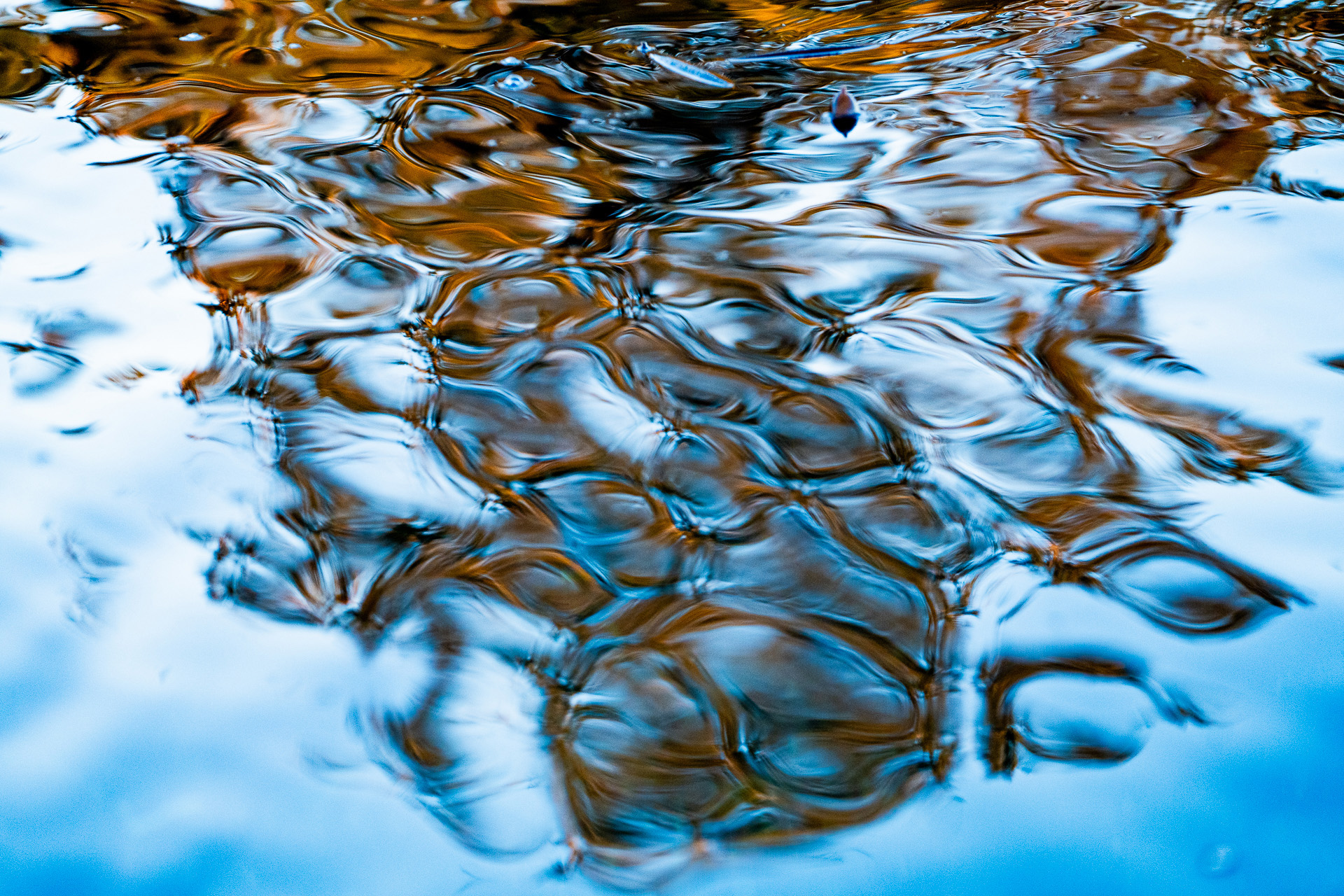 Water